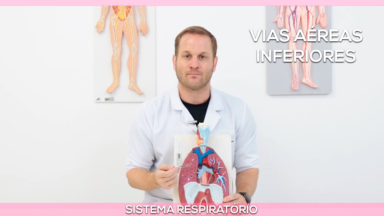 Vias aéreas inferiores