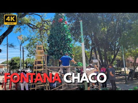 Fontana: Armado del Árbol de Navidad 🎄 Galpones históricos y Club Fontana