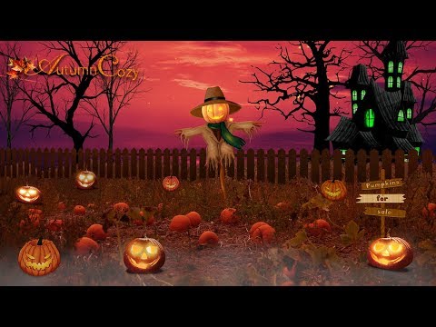 🎃 PUMPKIN PATCH AMBIENCE: Autumn Night Sounds, Crunching Twigs, Burning Candles