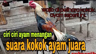 Download lagu Suara kokok ayam juara mp3