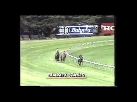 1991 Blamey Stakes - Better Loosen Up vs Vo Rogue