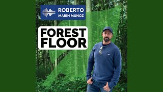 Forest Floor Music Video