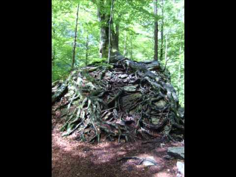 Die Edelweißpiraten (Lied)