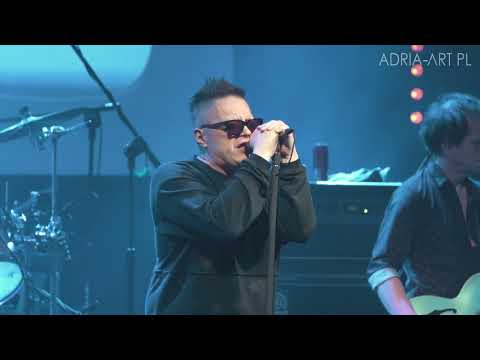 T.Love – trasa koncertowa HAU! HAU | Zwiastun 1