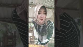 Download lagu janda gatel mp3