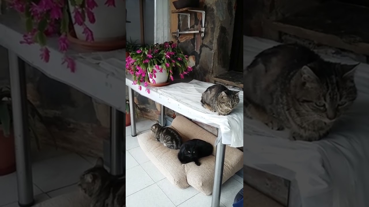 Feliz día de San José, día del Papi ❤💖❤😙😍😙