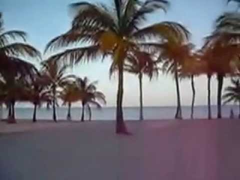 Flying Lotus The Diddler Remix