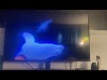 Opening To Mary Poppins 1987 VHS EPILEPSY WARNING