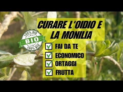 Fare prova un calla su parassiti Mosca Supplementi dietetici da vermi per la gente