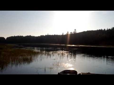 Gerhard's World....!!!