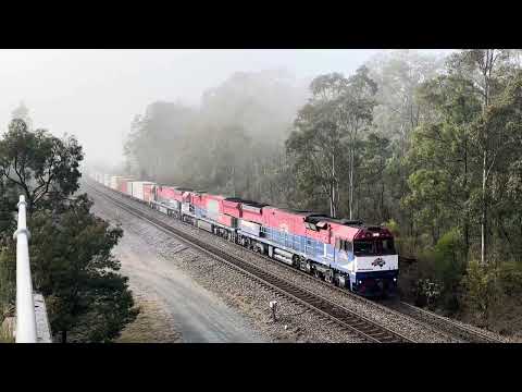 FIE003-FIE004-FIE001 8148 Greta 4-9-23