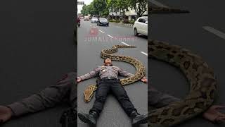 Download lagu Fenomena Aneh Tapi Nyata, Seorang Polisi?? mp3 Download lagu Fenomena Aneh Tapi Nyata, Seorang Polisi?? mp3