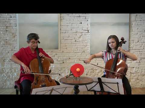L.BOCCHERINI: Sonate en Ut majeur 1. Allegro Vivace pour violoncelle et basse continue