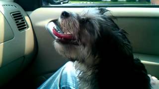 I really like it when he stares into the camera all "isn't this just the best?"