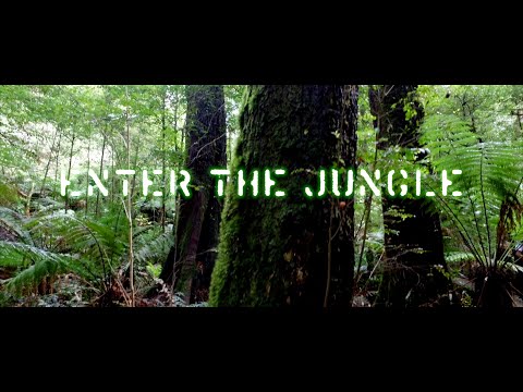 Enter The Jungle - Panama Hustle