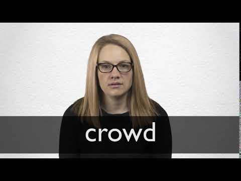 CROWD definition and meaning | Collins English Dictionary
