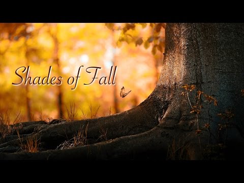 Shades of Fall [original]