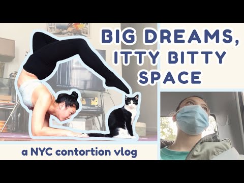 DITL of a NYC Contortionist in Training | Online Contortion and Handstand Training