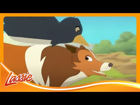 🎯 Brave Dog's Treasure Rescue Mission! 🐾💎 | Lassie | Cartoon for Kids @VIEWEDkids