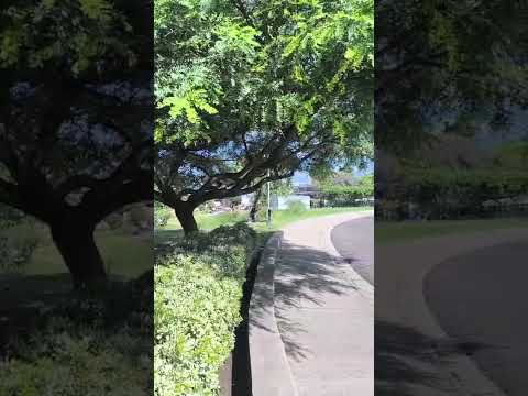 PARANÁ, MIRADOR, PROVINCIA DE ENTRE RIOS, REPÚBLICA ARGENTINA. #flete #ciudad #lugares