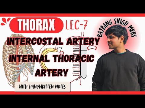 Intercostal artery and internal thoracic artery Anatomy ll Blood supply of thorax wall Anatomy