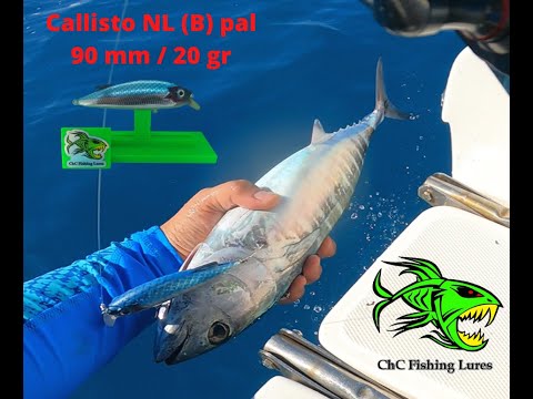 Spinning off shore vol.8 - mangianze - vertical - Chc fishing lures