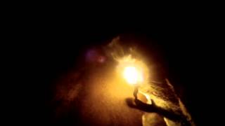 Missing . . . Calling . . . my Co-Dreamers