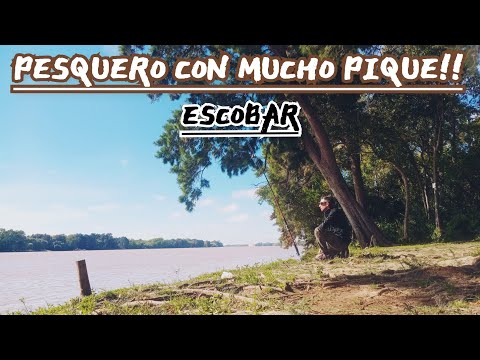 PESCA EN EL PARANA DE LAS PALMAS, COCINO PESCADO FRITO!!