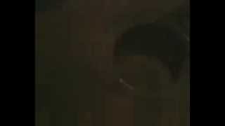 Download lagu kibay band mp3