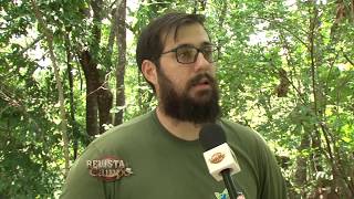 Miniatura do vídeo