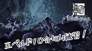 【MHWilds】ガンスソロ8分台の民になりたい