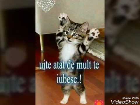 Iuliano si Mr juve_ Te Iubesc