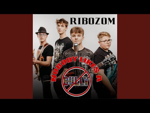 Nobody Likes A Bully