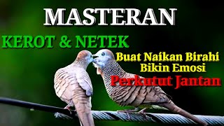 Download lagu Suara Kerot Netek Perkutut Lokal Buat Naikan Birahi mp3 Download lagu Suara Kerot Netek Perkutut Lokal Buat Naikan Birahi mp3