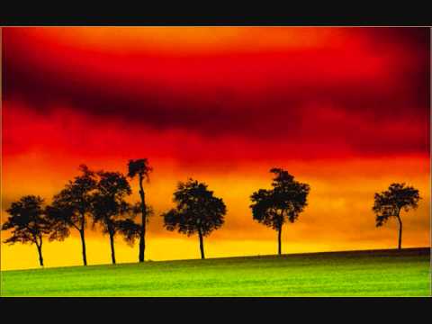 Chuva Miuda - Canamaré
