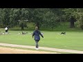 Irresponsible Dog Owner