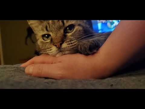 Riley, Pudds & Us: Part 4