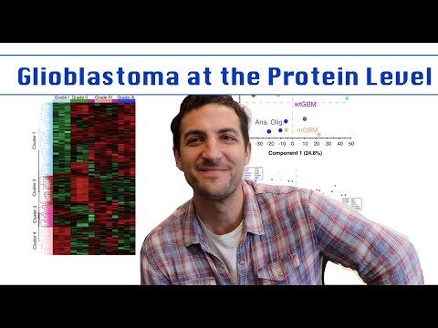 Glioblastoma at the Protein Level