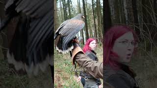 Hochsitzgeflüster #2 🦅 mit Falknerin Miri von @Elisa