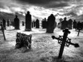 Bottom Of The Grave