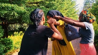 Download lagu Sadaa  tummee hinee biraa demnee wan isin ngodhaa turtee iraa kafaladhee jiraa ain sabontuun 🔪💪🤺 mp3
