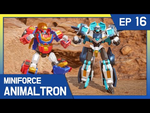 [Miniforce Animaltron] 🦁Ep.16 Spider King’s sneak attack!