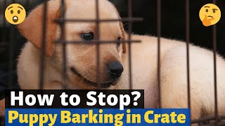 How to Stop a puppy from Barking in his Crate at night? 🤔🐶