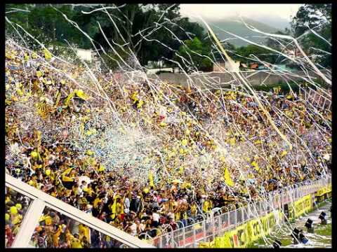 "Canticos Avalancha Sur 10" Barra: Avalancha Sur &bull; Club: Deportivo Táchira