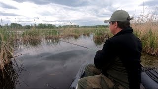 Ловля щуки в ливенском районе