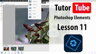 Photoshop Elements Tutorial - Lesson 11 - Fixing Red Eyes