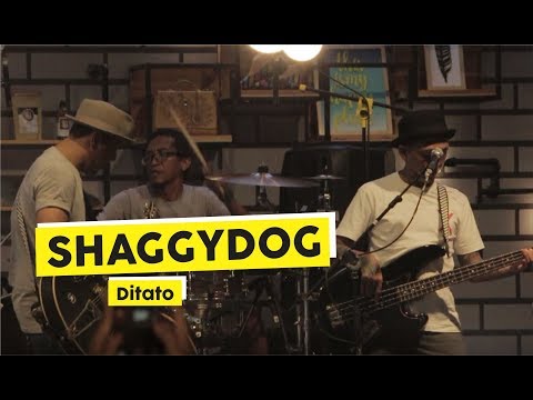 Shaggydog - Ditato (Live at THE BIG START BLIBLI.COM)