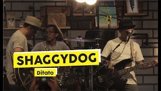 Download lagu Shaggydog - Ditato (Live at THE BIG START BLIBLI.COM) mp3
