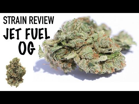 download lagu mp3 mp4 Jet Fuel Og, download mp3 Jet Fuel Og free download, download mp3 Jet Fuel Og