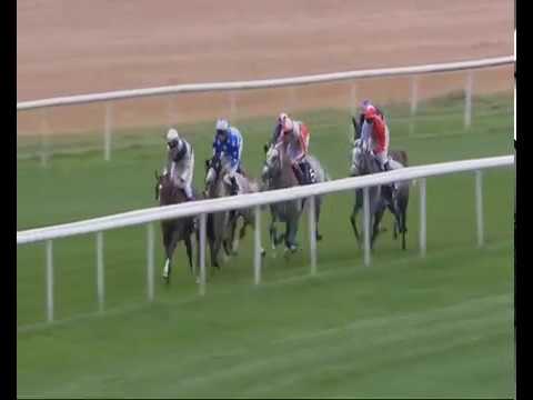 President of the UAE Cup Group 1PA (UK Arabian Derby)